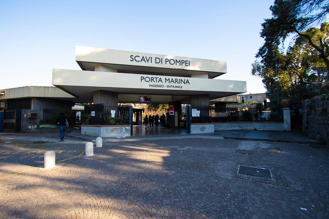 Private Transfer from Naples to Sorrento with Stop at Pompeii - Pickup and Drop-Off: Where the Driver Meets You