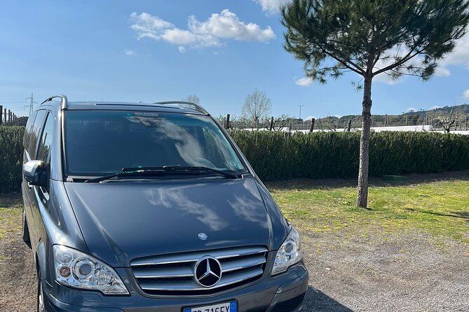 Private Transfer from Positano to Naples Airport - Comfort details that actually help: WiFi, water, and A/C