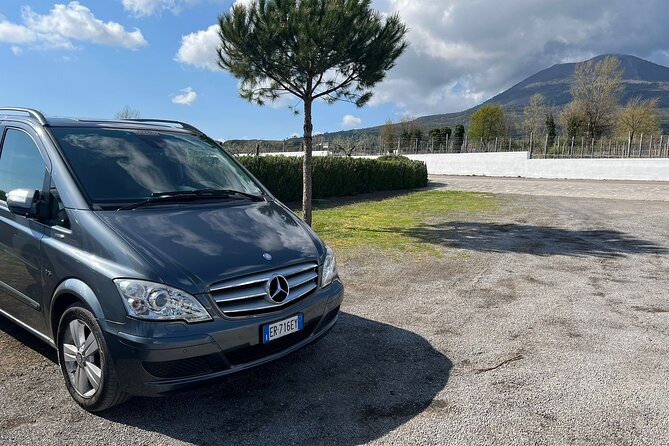 Private Transfer from Positano to Naples Airport - Vehicle choice and luggage math (Mercedes E-Class vs minivan)