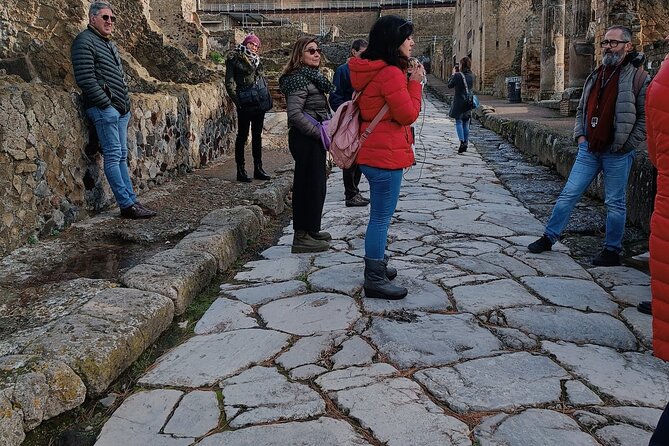 Private Walking Tour through the Historical City of Herculaneum - Private tour logistics that keep you comfortable (and on track)