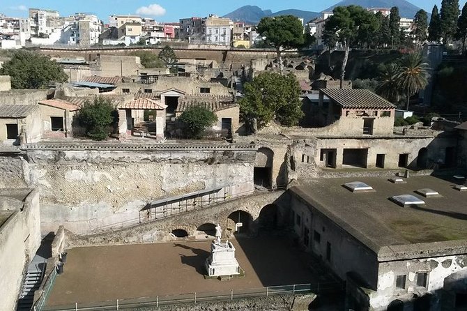 Private Walking Tour through the Historical City of Herculaneum - Price and value: what you’re really paying for at €102.12