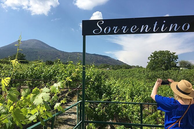 Private Wine Tour,lunch,8 wines, dedicated sommelier and trasport - Entering Tenuta Sorrentino Vesuvio: vineyards first, then the view