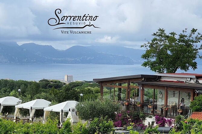 Private Wine Tour,lunch,8 wines, dedicated sommelier and trasport - The vineyard walk: grape growing, legends, and the volcano story