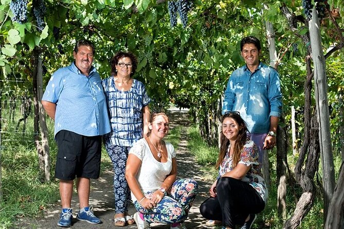 Private Wine Tour,lunch,8 wines, dedicated sommelier and trasport - The elevated platform: what you’ll actually want to look at