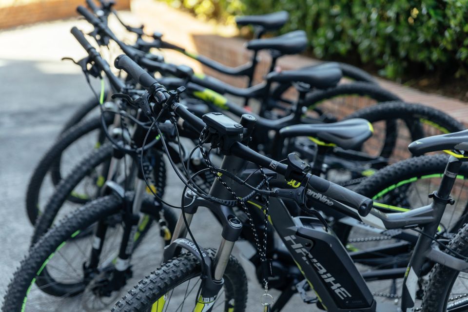 Scenic E-Bike Ride with Vineyard Wine & Meal - Phlegrean Fields and the volcanic lake: crater sights and real-world context