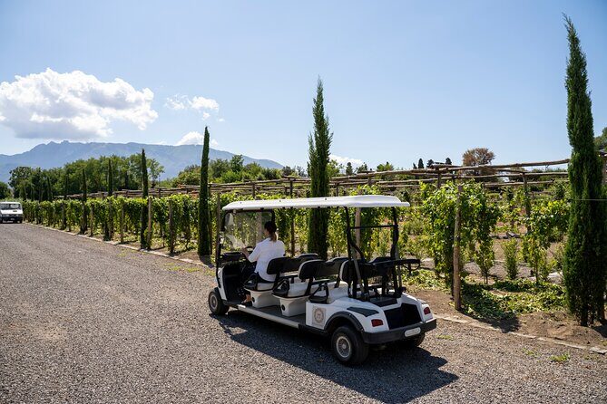 Seafood Lunch & Wine Tasting with Scenic Golf Cart Tour - Quick highlights: what makes this outing work