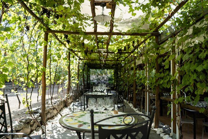 Seafood Lunch & Wine Tasting with Scenic Golf Cart Tour - Inside the cellar: how storage choices can change what you taste