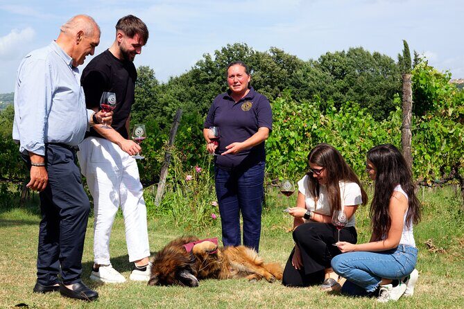 Sella delle Spine Taurasi: Tasting, Vineyard and Cellar Tour - Who should book this (and who might not love it)