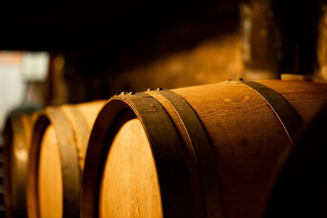 Sella delle Spine Taurasi: Tasting, Vineyard and Cellar Tour - Stop 1: the warm welcome and vineyard education