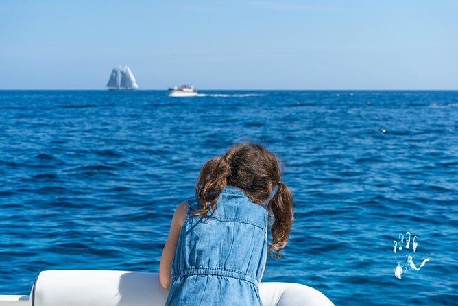 Shared Boat Excursion to Capri from Sorrento - Shared Boat to Capri: how the day actually plays out