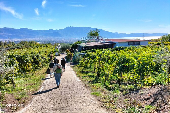Shore excursion Naples city tour, Pompeii & Winery Cantina del Vesuvio - Who this private tour suits best