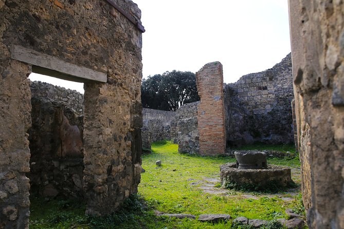 Shore Excursion Tour for Kids from Naples to Pompeii and Amalfi Coast - Price and value: $566.89 per person for a smoother family day