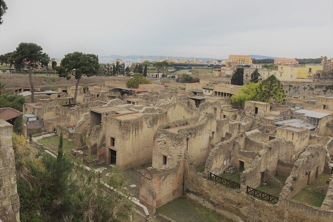 Skip the Line Ancient Herculaneum Walking Tour with Top Rated Guide - Casa del Rilievo di Telefo: the detail stop that sticks