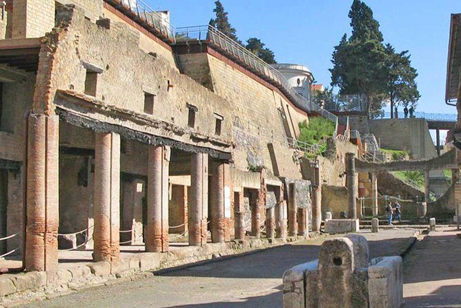 Skip the Line Herculaneum Ruins Ticket - Price and Value of a $25 Herculaneum Entry Ticket