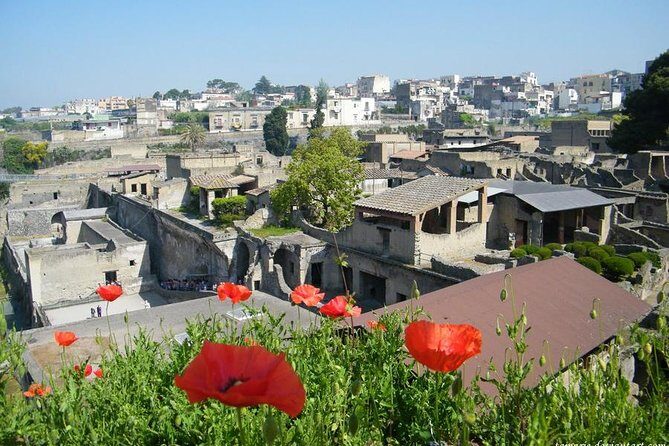 Skip the Line Herculaneum Ruins Ticket - When This Ticket Is the Right Fit (and When to Choose a Guide)