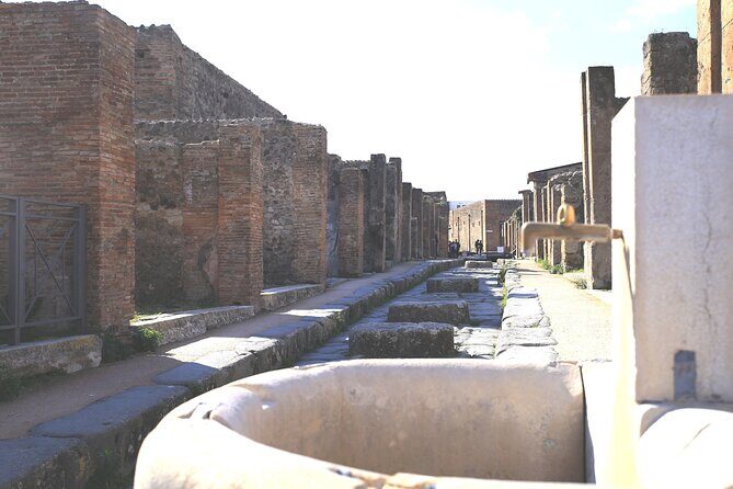 Skip-the-line Pompeii and Amalfi Coast Shore Excursion from Salerno Cruise Port - Included versus not included: what you’re paying for