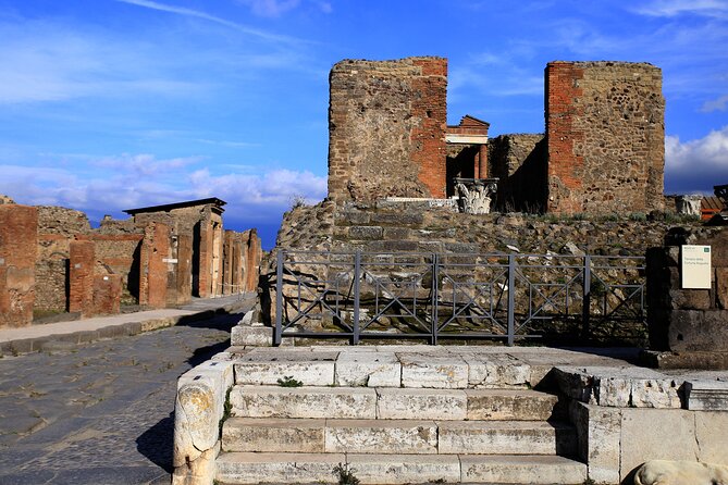 Skip the Line Pompeii Tour For Kids and Families w Special Guide - Who this Pompeii tour is best for