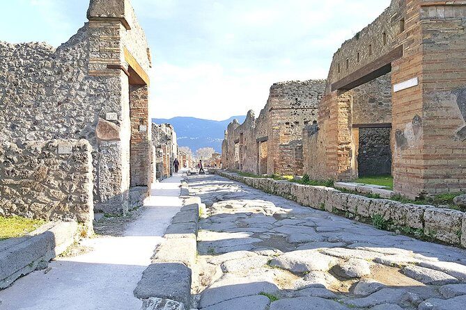 Skip-the-Line Pompeii & Volcano Vesuvius Day Tour w Hotel or Port Pickup - Who should book this Pompeii and Vesuvius combo