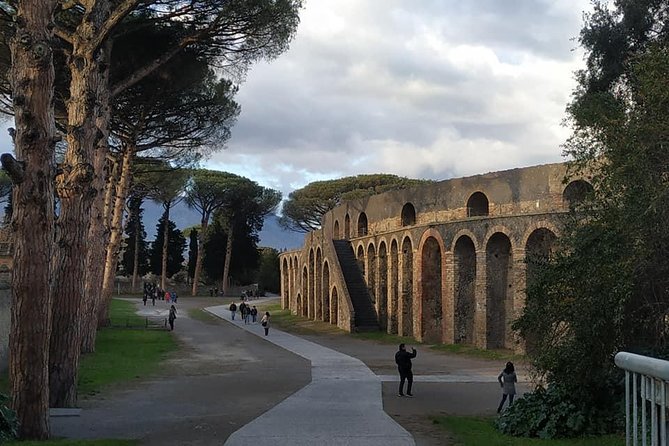 Skip the Line Private Pompeii Guided Tour - The big beginning: Pompeii Archaeological Park highlights in about two hours