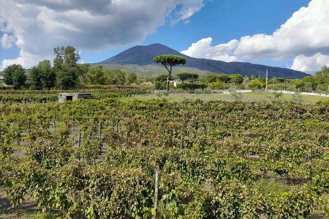 Skip-The-Line Tickets VIP Small Group Tour To Pompei and Vesuvius - Pompeii pacing and the “market break” reality