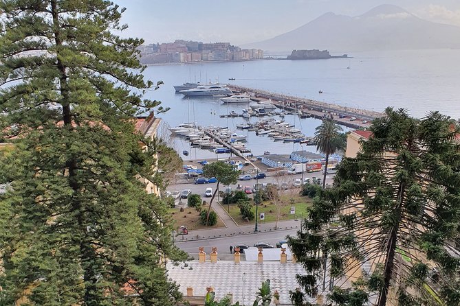Small Group Naples City Sightseeing Tour - Who should book this tour, and who should consider another option
