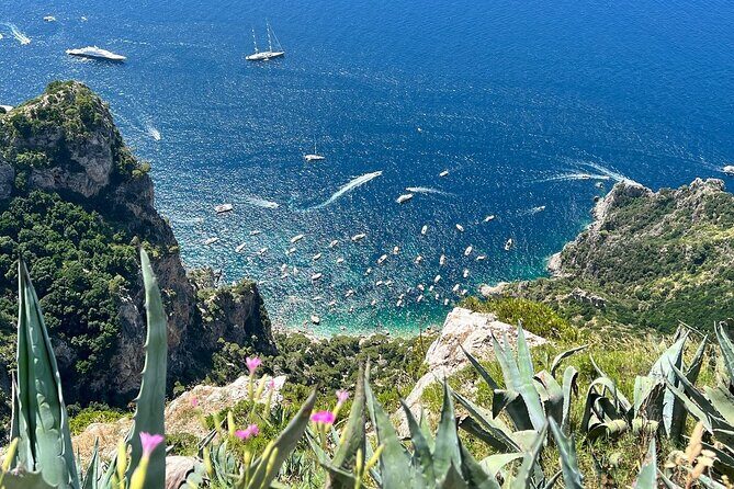 Small Group Tour from Rome to Blue Grotto, Anacapri and Capri - Price and value: what $192.25 covers (and what it doesn’t)