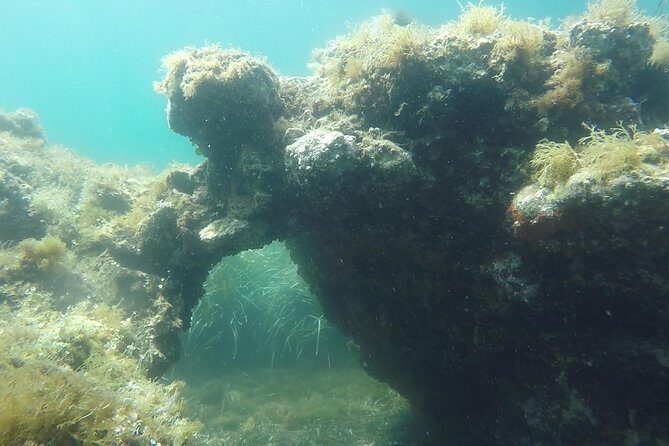 Snorkeling among the Underwater Caves of Ischia Ponte - Price and Value: What $54.07 Buys You in the Water