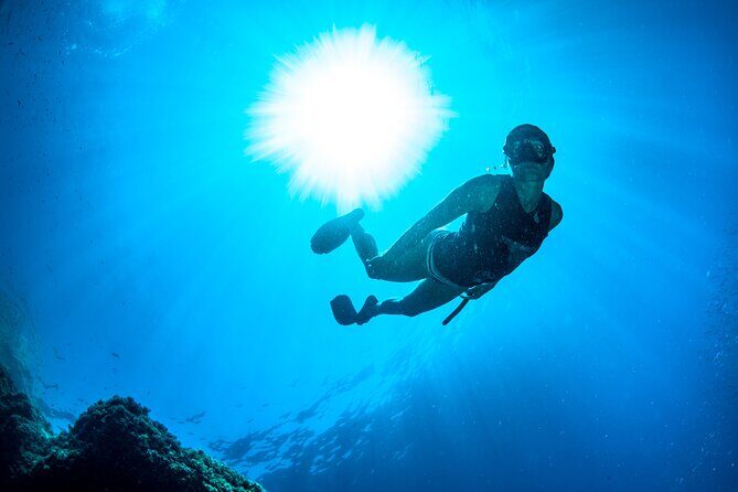 Snorkeling with Marine Biologist Expert from Sorrento - Snorkeling Through Coves and Caves With Marine Biologist Guides