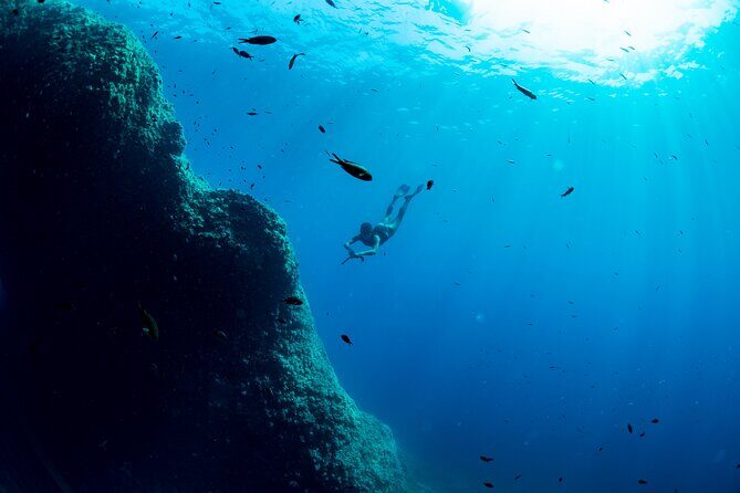Snorkeling with Marine Biologist Expert from Sorrento - Weather, Current, and Visibility: What Changes Your Day
