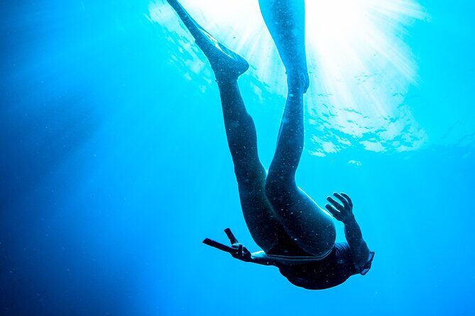 Snorkeling with Marine Biologist Expert from Sorrento - Price and Value: Paying for a Small Group and a Real Expert