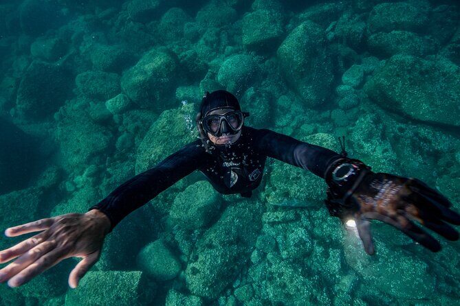 Snorkeling with Marine Biologist Expert from Sorrento - Who This Sorrento Snorkel Trip Is Best For