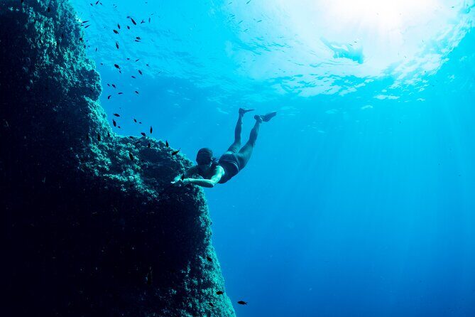 Snorkeling with Marine Biologist Expert from Sorrento - The Protected Waters Near Punta Campanella: Limestone, Caves, and Marine Habitat