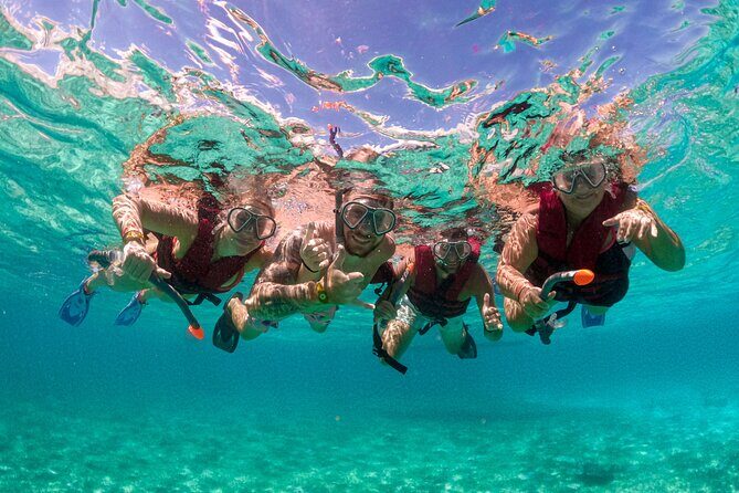 Snorkelling Experience - Key highlights I’d plan around