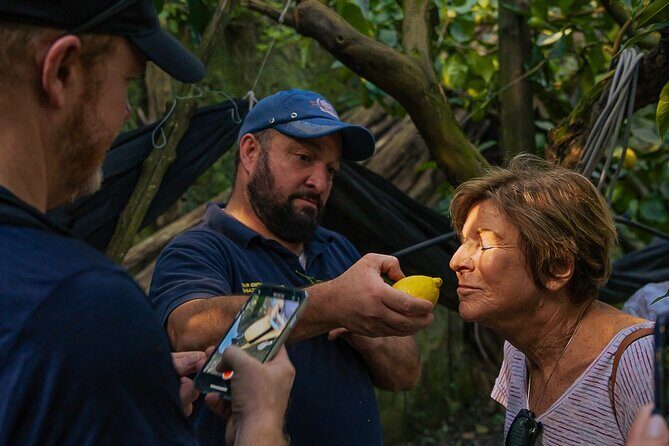 Sorrento Ape Tour, Lemon Garden, Mozzarella Show & Pizza Class - What you’ll get out of it (besides dinner)