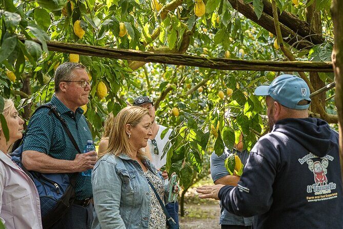 Sorrento Ape Tour, Lemon Garden, Mozzarella Show & Pizza Class - The pizza class back in Schiazzano: make it, then eat it