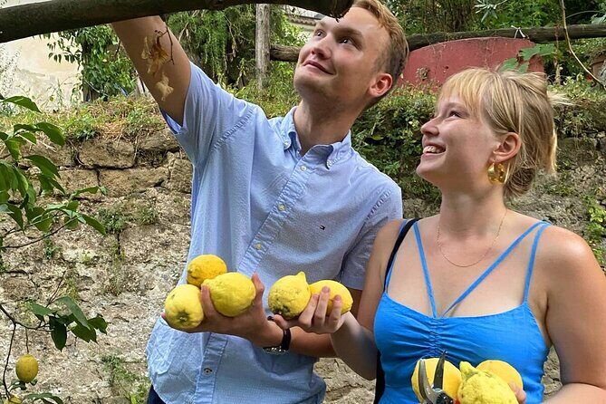 Sorrento: Authentic Lemon Experience at a Farm with Tastings - Why a Sorrento Lemon Farm Tour Feels Different Than a Tasting Stop