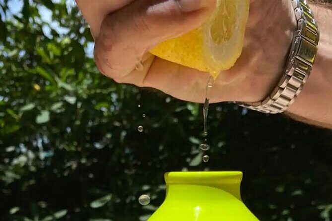 Sorrento: Authentic Lemon Experience at a Farm with Tastings - Making Your Own Lemonade: Simple Skill, Real Satisfaction