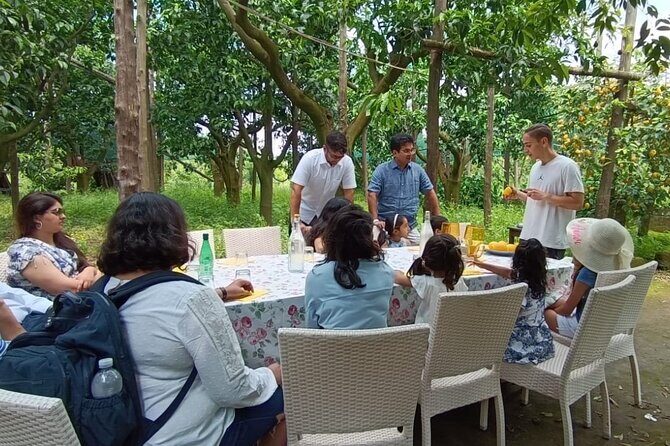 Sorrento: Authentic Lemon Experience at a Farm with Tastings - Marmalade and Limoncello Tastings: How to Enjoy Without Overdoing It