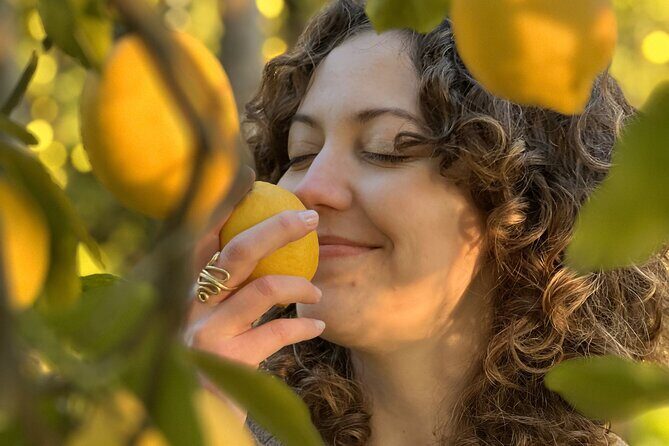 Sorrento: Authentic Lemon Experience at a Farm with Tastings - Price and Value: Why $77.44 Can Be Worth It Here