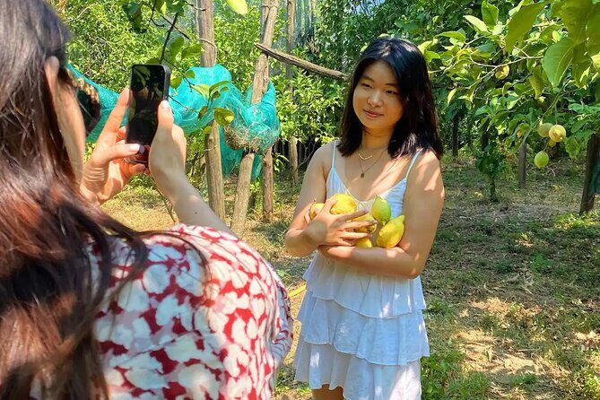 Sorrento: Authentic Lemon Experience at a Farm with Tastings - Getting There: Via dei Platani 12 and the Reality of Transit