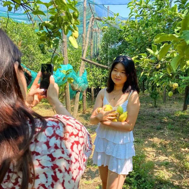 Sorrento: Authentic Lemon Experience in a Farm with Tastings - Why this Sorrento lemon farm experience feels different