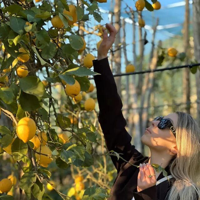 Sorrento: Authentic Lemon Experience in a Farm with Tastings - Making your own lemonade with your picked lemons