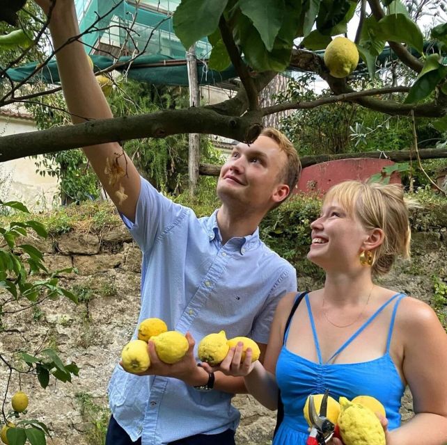 Sorrento: Authentic Lemon Experience in a Farm with Tastings - Price and value: is $73 fair for 1.5 hours?