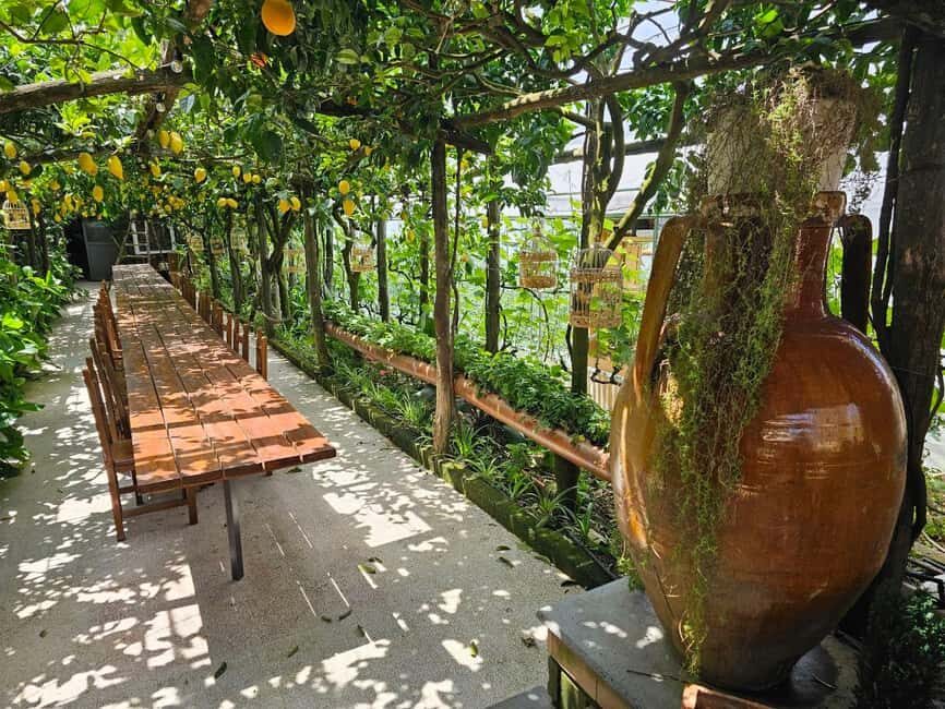 Sorrento Coast E-Bike Tour and Visit at Vinegar Cellar - Why this Sorrento Coast ride feels more local than a typical shore excursion
