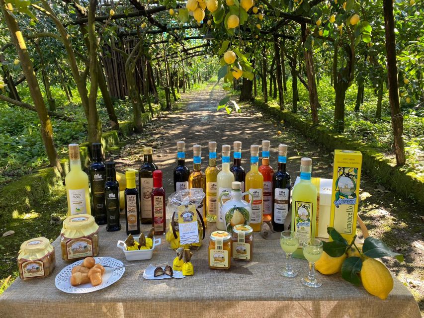 Sorrento: Coast E-Bike Tour with Limoncello Tasting - Meeting point at EnjoyBikeSorrento (V. Fuoro, 71) and what to bring