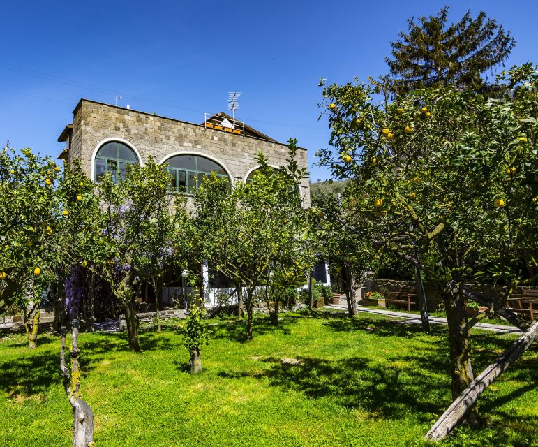 Sorrento: Coast E-Bike Tour with Limoncello Tasting - Price and value: is $88 for 2 hours worth it?