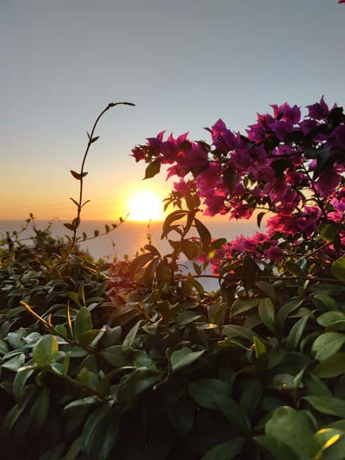 Sorrento Coast Sunset E-Bike Tour - Key highlights worth planning around