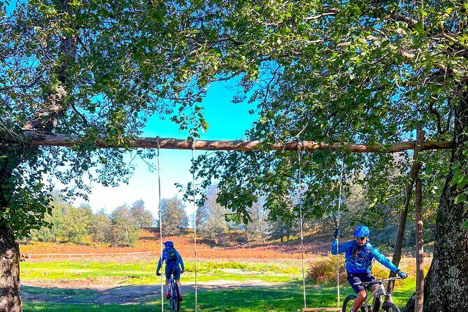 Sorrento e-bike adventure: olive oil and lemon tasting - Meeting point and pacing: where you’ll start and how long you’ll be out