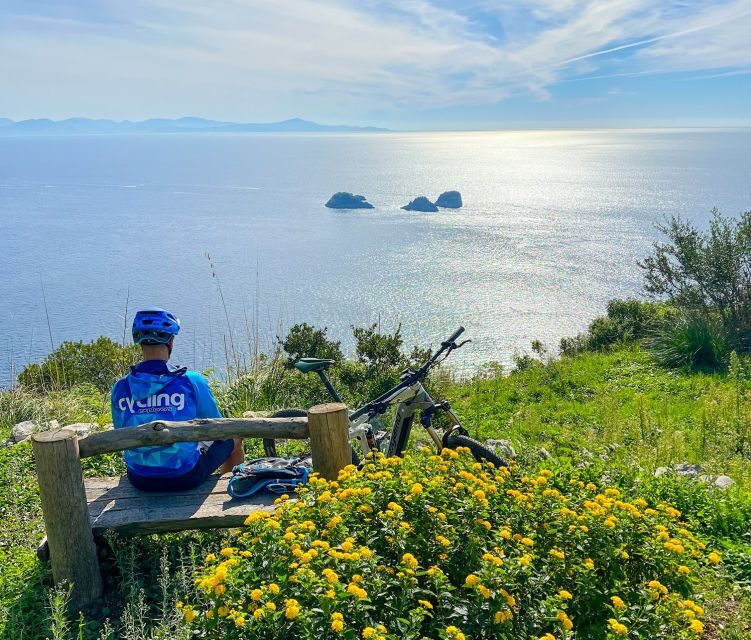 Sorrento: E-bike Oil & Lemon Tour with Tasting - Key highlights you’ll care about
