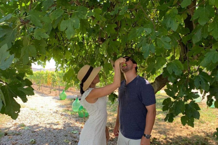 Sorrento: Family Farm Experience with Lunch - Key highlights at a glance